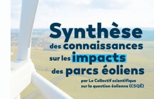 Synthèse des connaissances