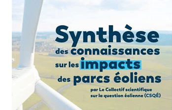 Synthèse des connaissances sur les impacts des parcs éoliens